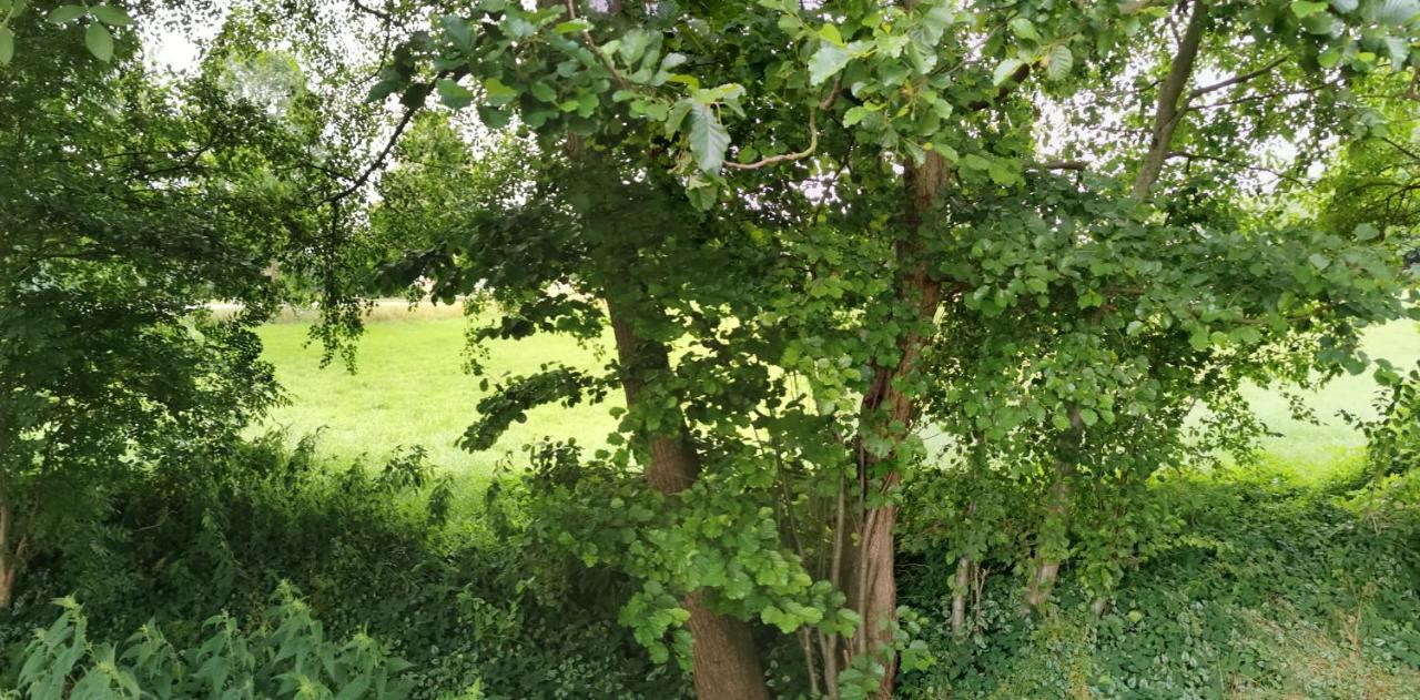 Gemuetliches Ferienhaus "An Der Schilde" In Renzow Dış mekan fotoğraf