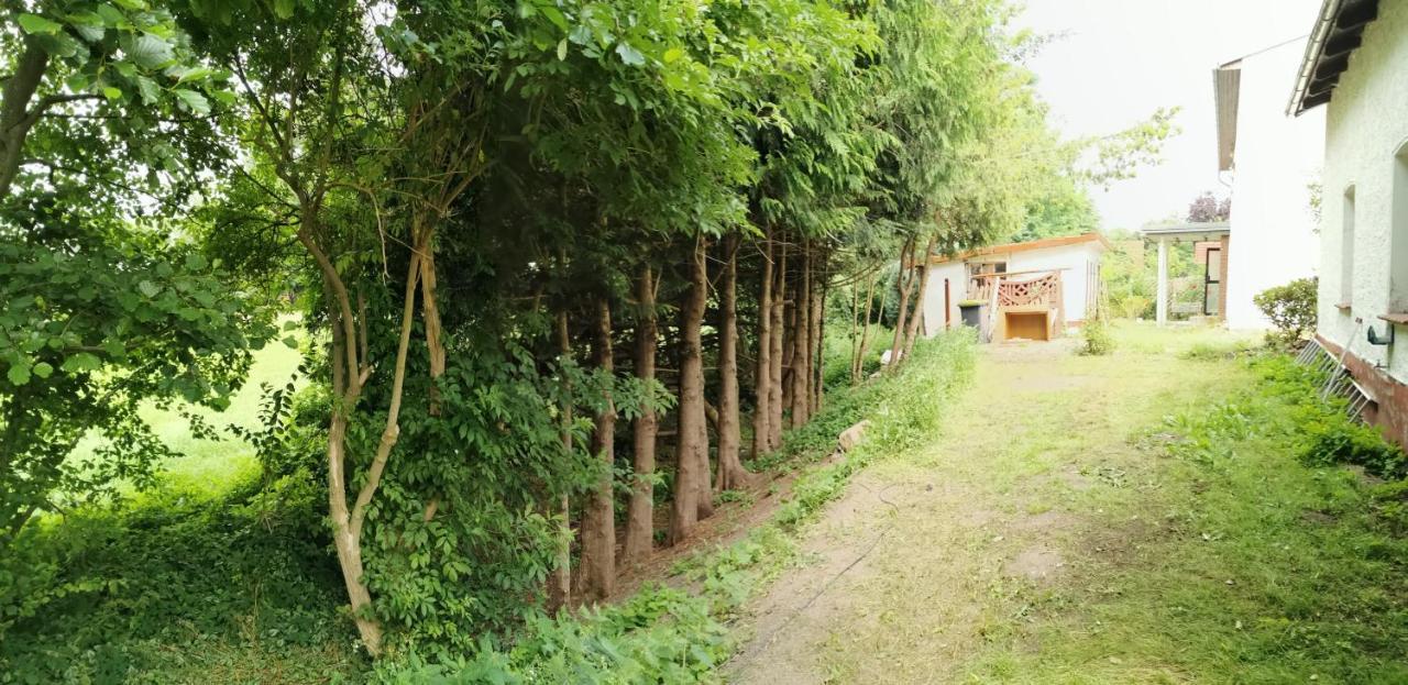 Gemuetliches Ferienhaus "An Der Schilde" In Renzow Dış mekan fotoğraf